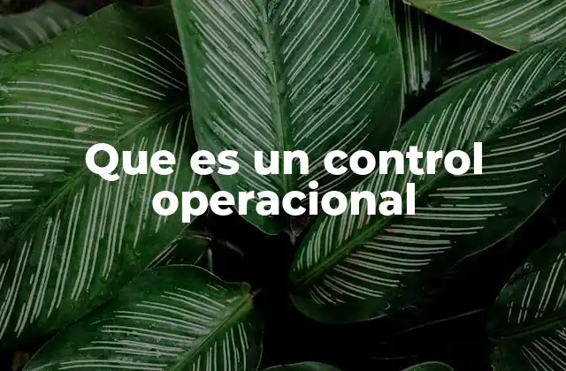 Que es un Control Operacional