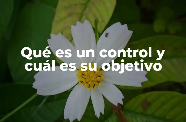 Qué es un Control y Cuál es Su Objetivo