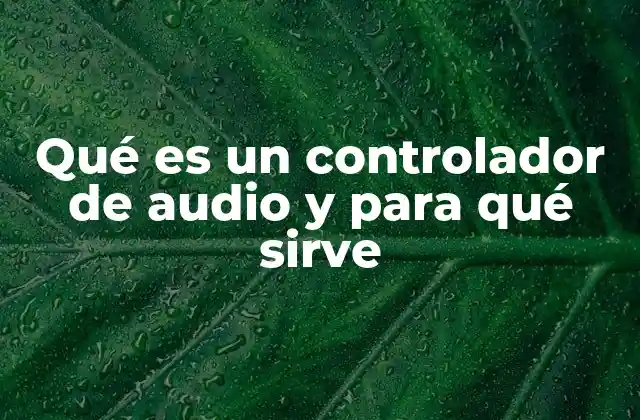 El rol del software en la gestión del sonido