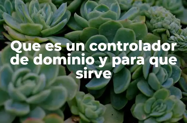 Que es un Controlador de Dominio y para que Sirve