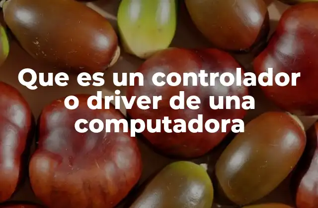 Que es un Controlador o Driver de una Computadora