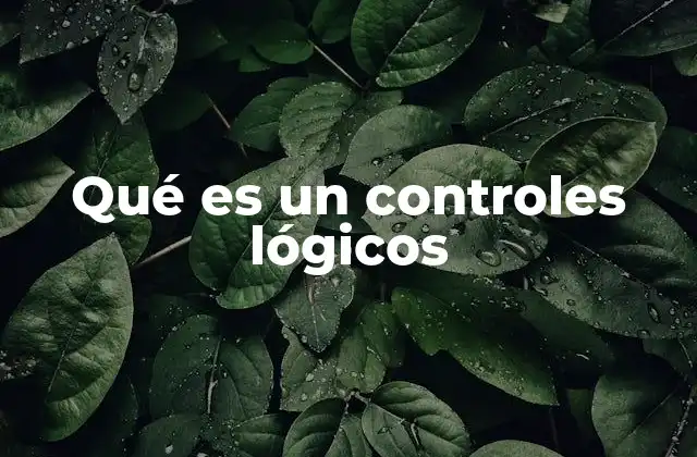 Qué es un Controles Lógicos