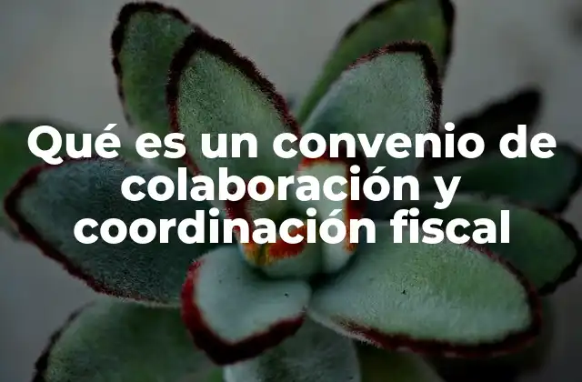Qué es un Convenio de Colaboración y Coordinación Fiscal