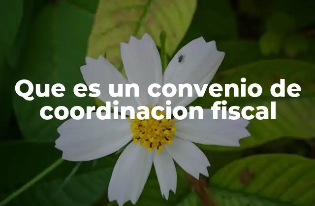 Que es un Convenio de Coordinacion Fiscal