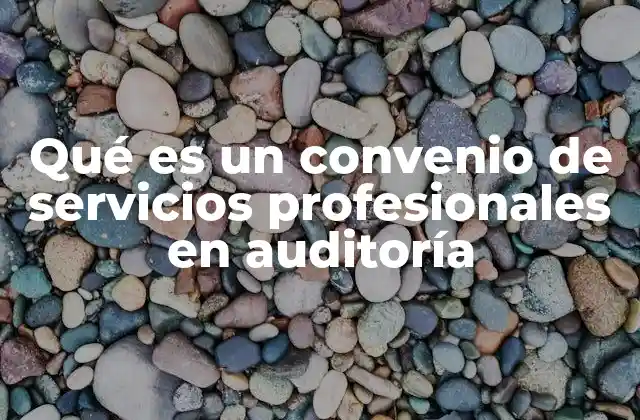 Qué es un Convenio de Servicios Profesionales en Auditoría