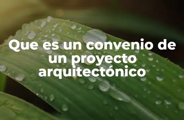 Que es un Convenio de un Proyecto Arquitectónico
