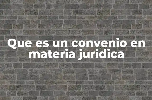 Que es un Convenio en Materia Juridica