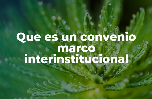 Que es un Convenio Marco Interinstitucional