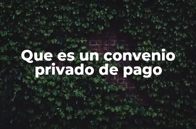 Que es un Convenio Privado de Pago 2 Tipos de obligaciones que pueden incluirse en un convenio privado