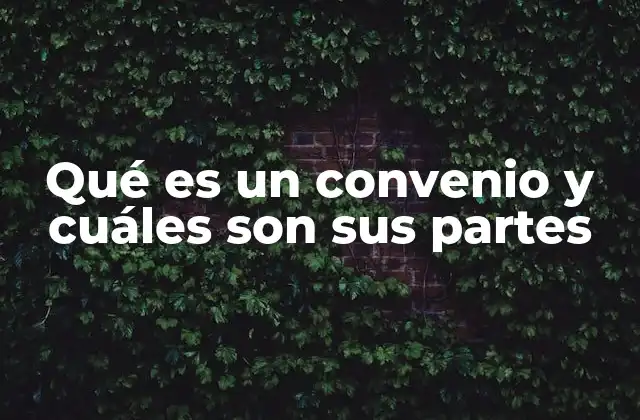 Qué es un Convenio y Cuáles Son Sus Partes