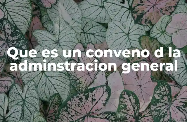 Que es un Conveno D la Adminstracion General