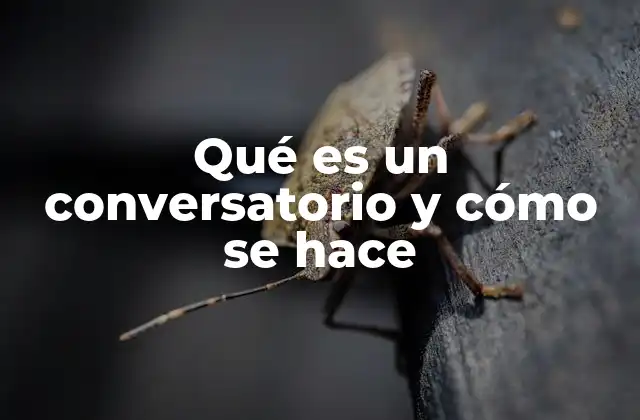 Qué es un Conversatorio y Cómo Se Hace