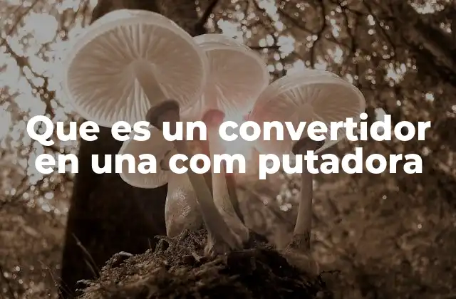 Que es un Convertidor en una Com Putadora