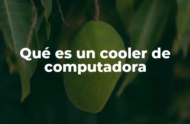 Qué es un Cooler de Computadora