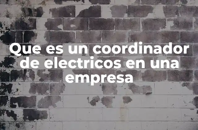 Que es un Coordinador de Electricos en una Empresa