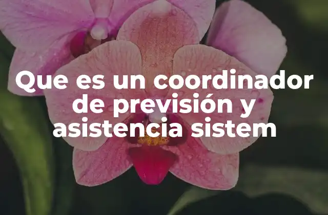 Que es un Coordinador de Previsión y Asistencia Sistem