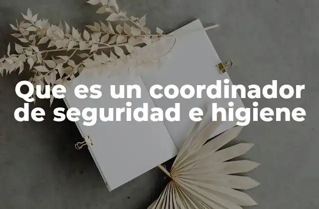 Que es un Coordinador de Seguridad e Higiene