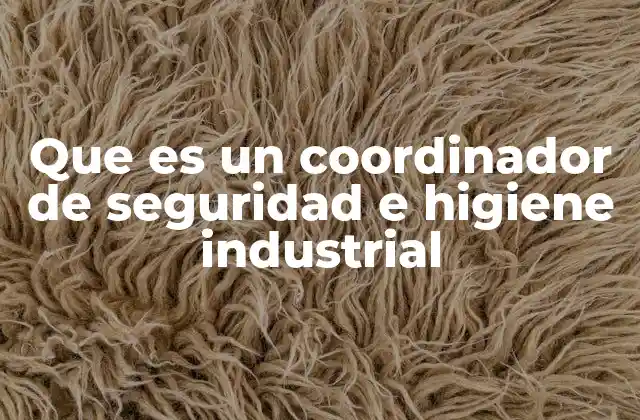 Que es un Coordinador de Seguridad e Higiene Industrial