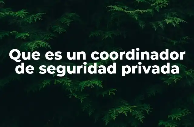 Que es un Coordinador de Seguridad Privada