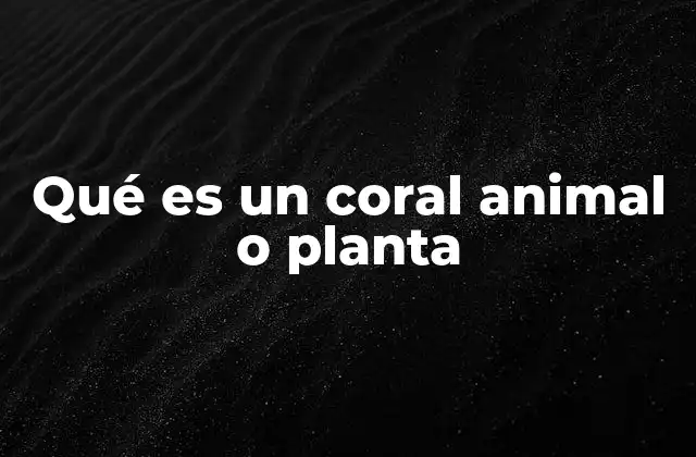 Qué es un Coral Animal o Planta