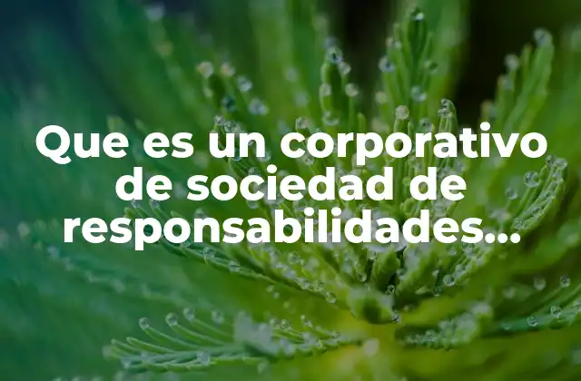 Que es un Corporativo de Sociedad de Responsabilidades Limitadas