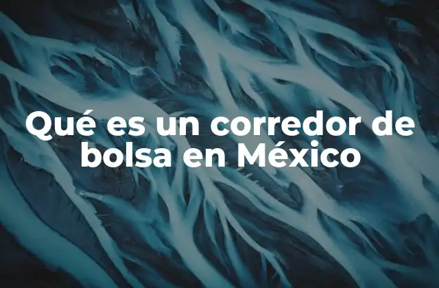 Qué es un Corredor de Bolsa en México
