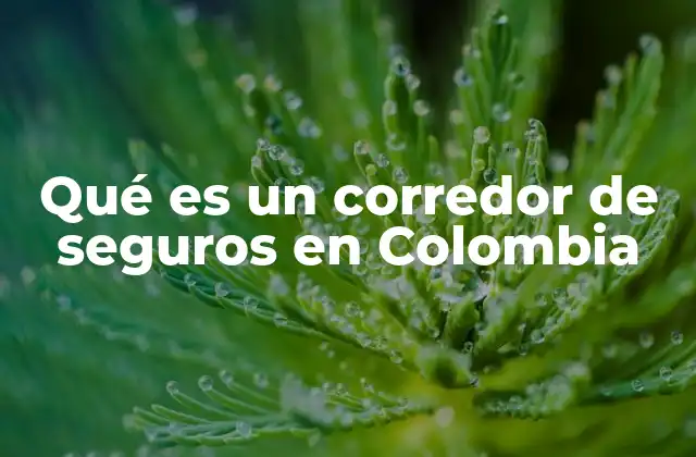 Qué es un Corredor de Seguros en Colombia