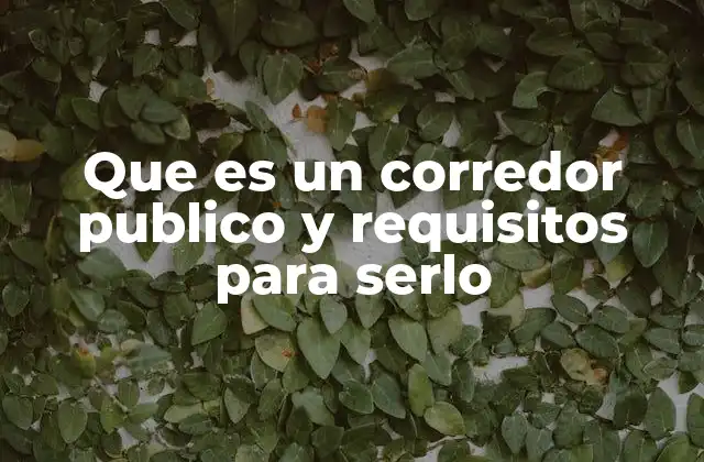 Que es un Corredor Publico y Requisitos para Serlo 2 El rol del corredor público en el mercado financiero