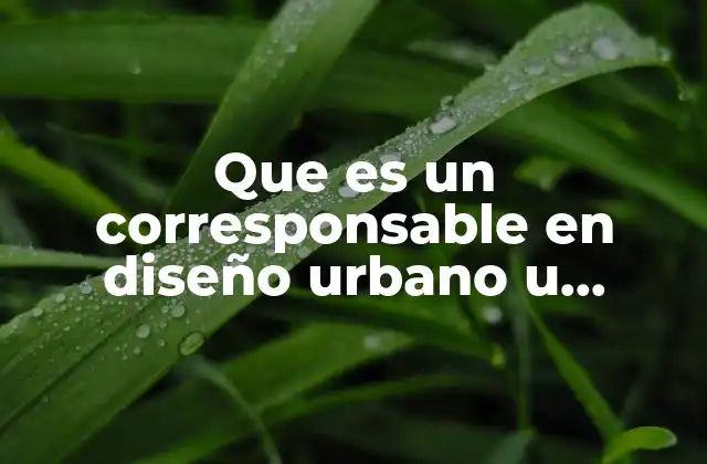 Que es un Corresponsable en Diseño Urbano u Arquitectonico