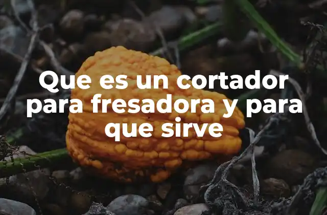 Que es un Cortador para Fresadora y para que Sirve