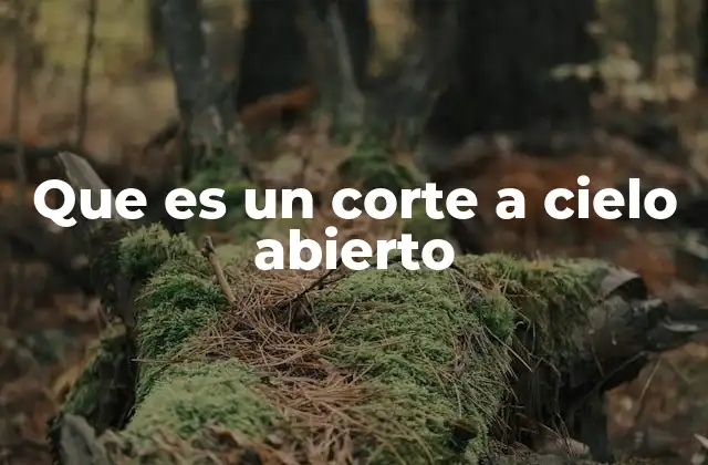 Que es un Corte a Cielo Abierto