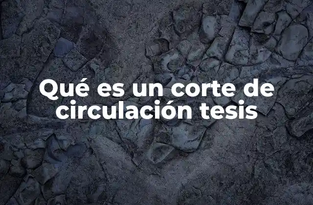 Qué es un Corte de Circulación Tesis