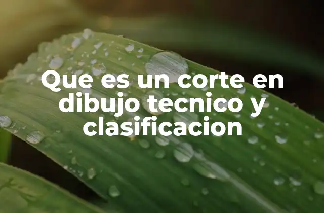 Que es un Corte en Dibujo Tecnico y Clasificacion