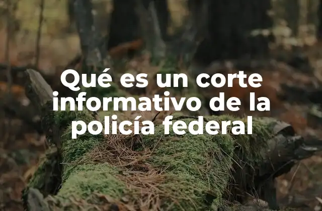 Qué es un Corte Informativo de la Policía Federal