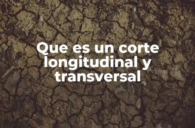 Que es un Corte Longitudinal y Transversal