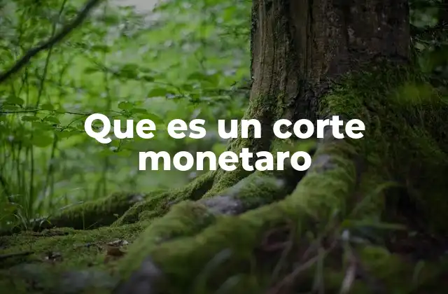 Que es un Corte Monetaro