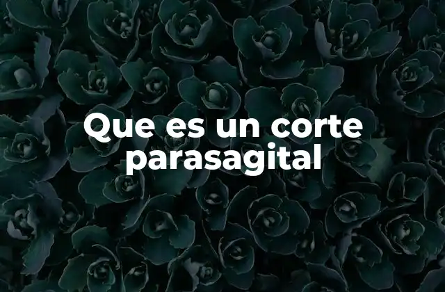 Que es un Corte Parasagital