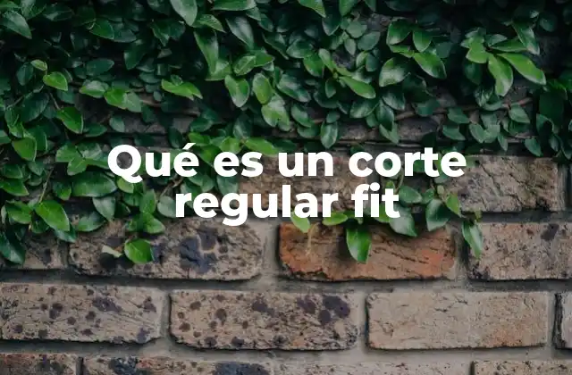 Características del corte regular fit