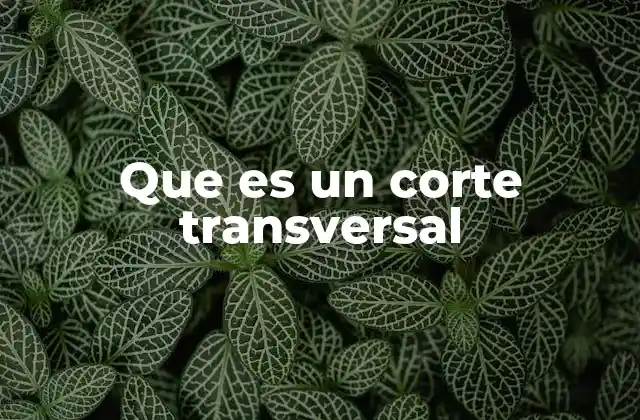 Que es un Corte Transversal