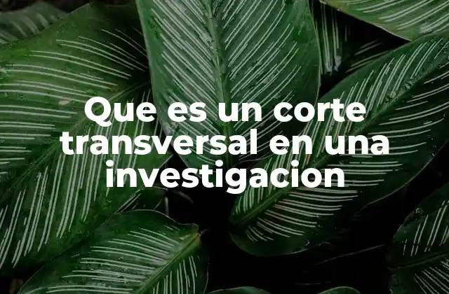 Que es un Corte Transversal en una Investigacion