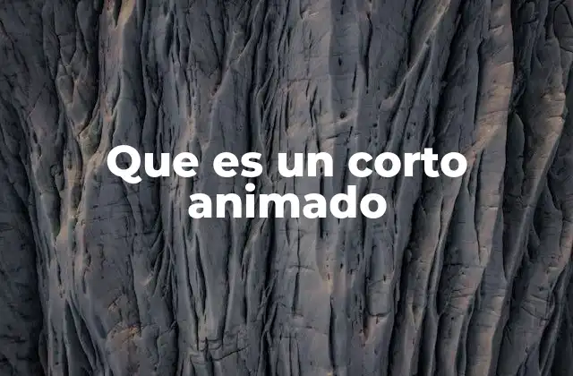 Que es un Corto Animado