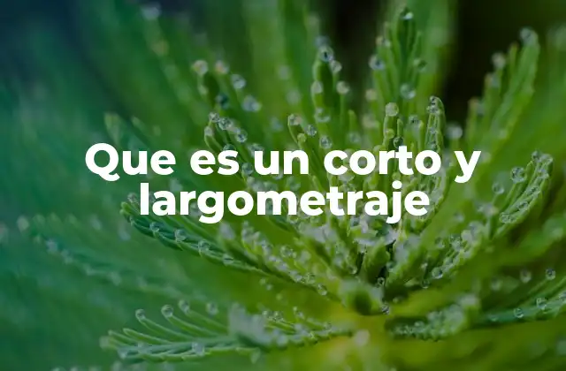 El papel del formato en la narrativa audiovisual