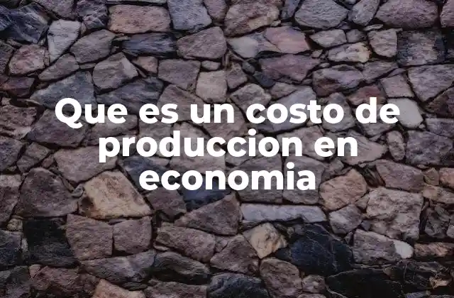 Que es un Costo de Produccion en Economia