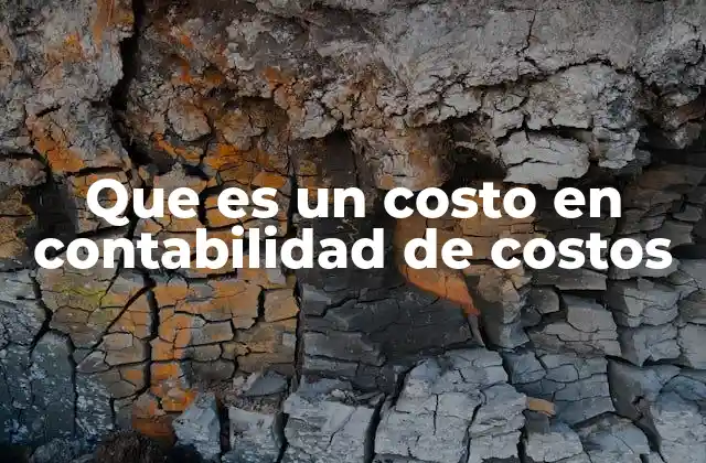 Que es un Costo en Contabilidad de Costos