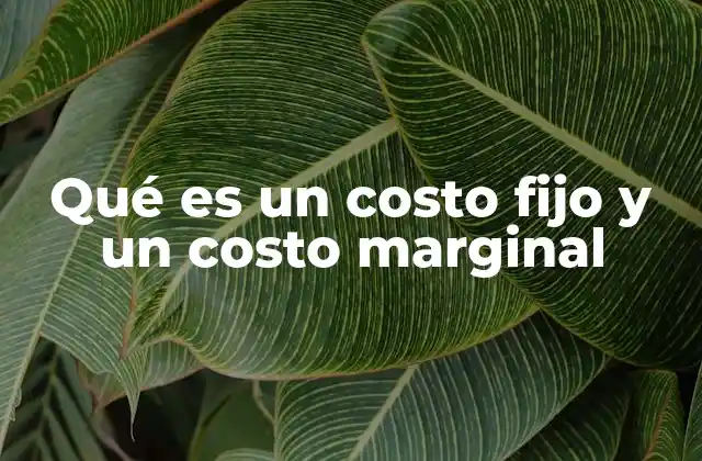 Qué es un Costo Fijo y un Costo Marginal