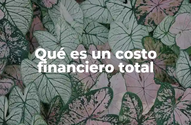 Qué es un Costo Financiero Total