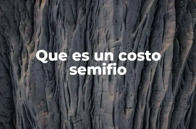 Que es un Costo Semifio