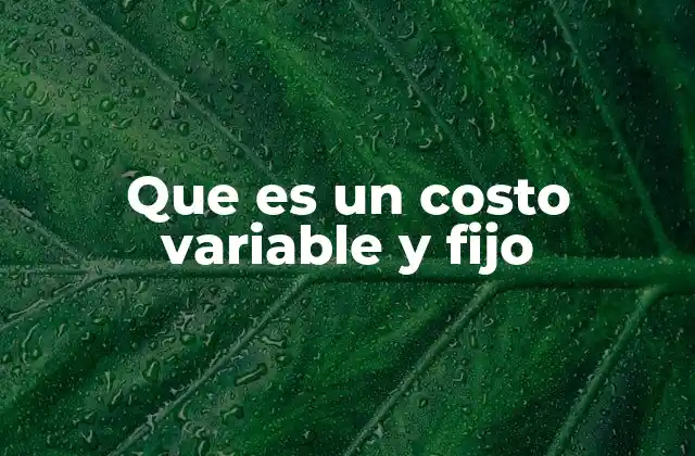 Que es un Costo Variable y Fijo