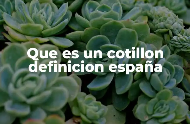 Que es un Cotillon Definicion España