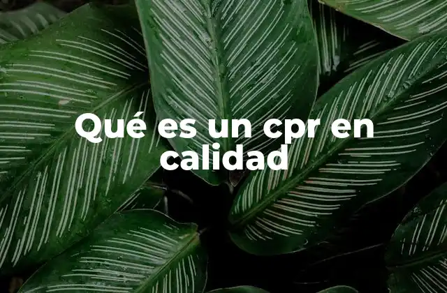 Qué es un Cpr en Calidad